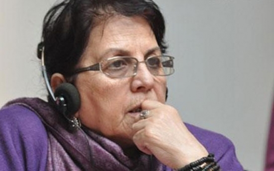Azerbaijani human rights defender says mistake not to inform Jagland of work done